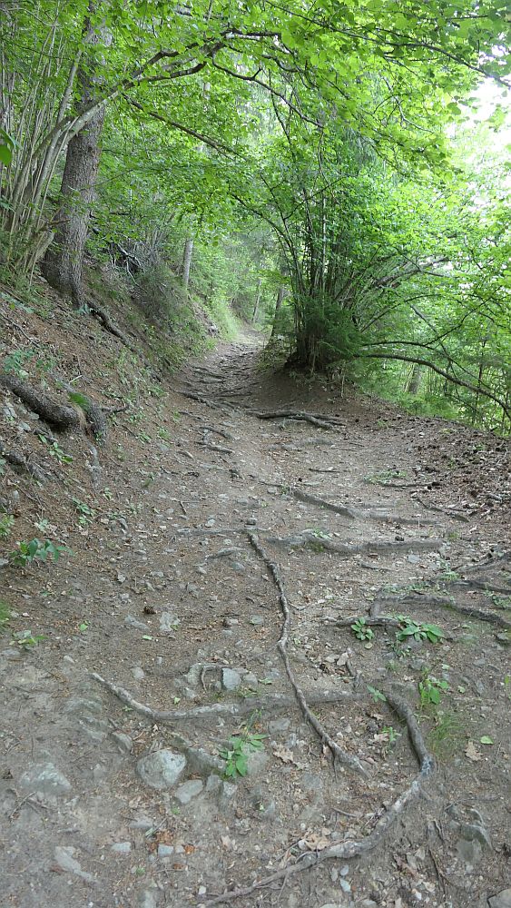 Alpe Adria Trail