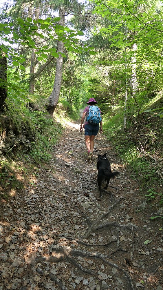 Alpe Adria Trail