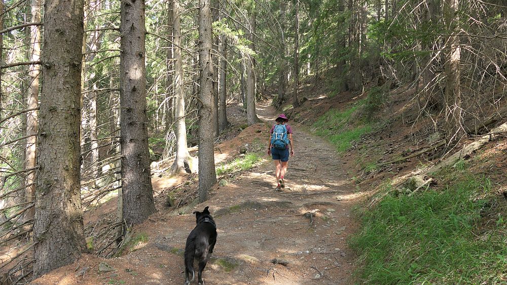 Alpe Adria Trail
