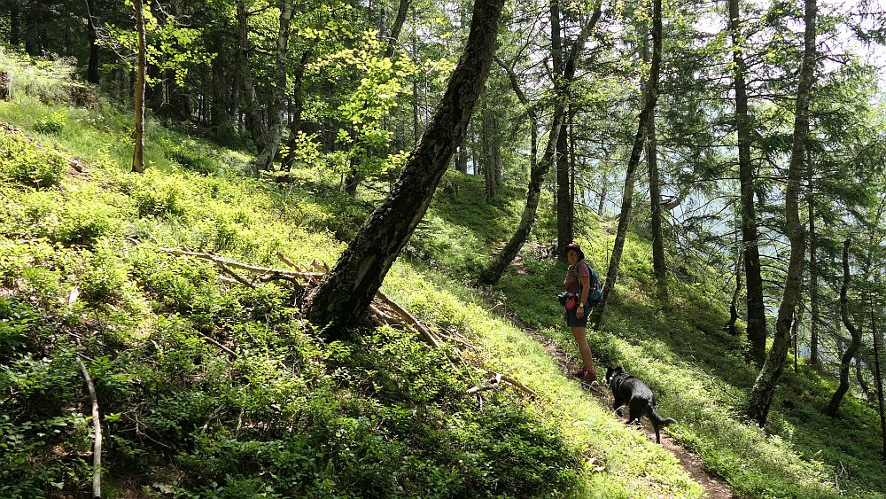 Alpe Adria Trail