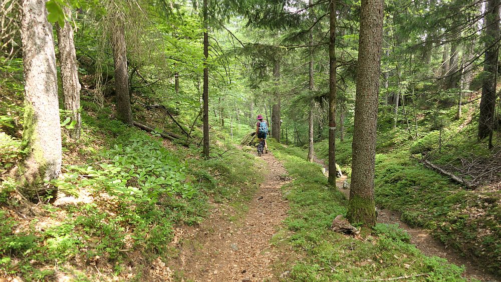 Alpe Adria Trail
