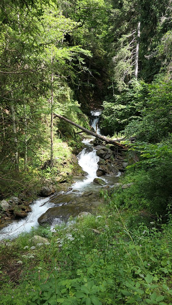 Alpe Adria Trail