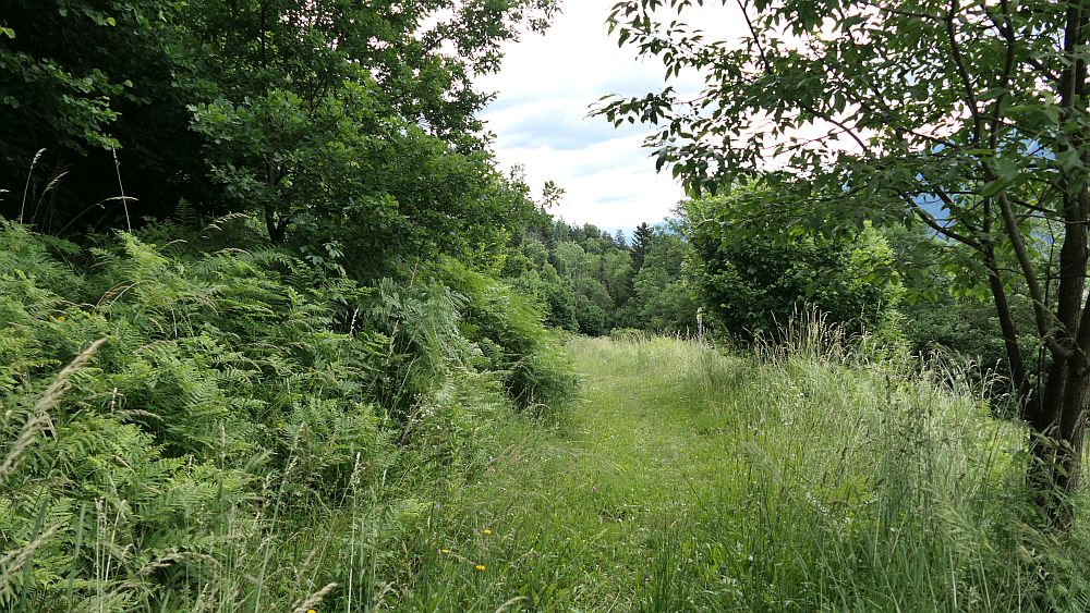 Alpe Adria Trail