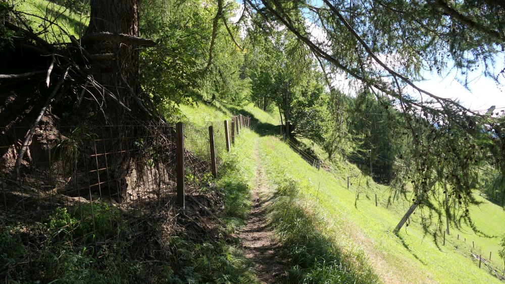Alpe Adria Trail