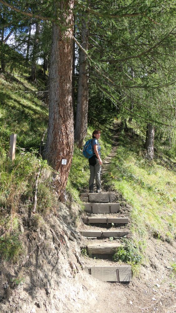 Alpe Adria Trail