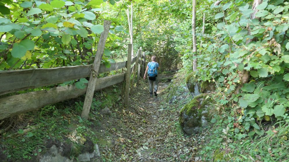 Alpe Adria Trail