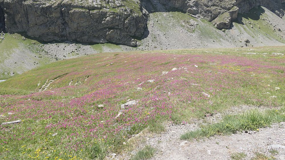 Lac du glacier d'arsin
