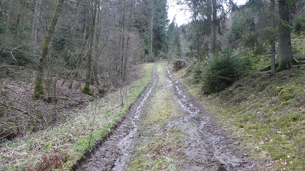 Bigge Lister Rundweg
