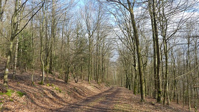 Bigge Lister Rundweg