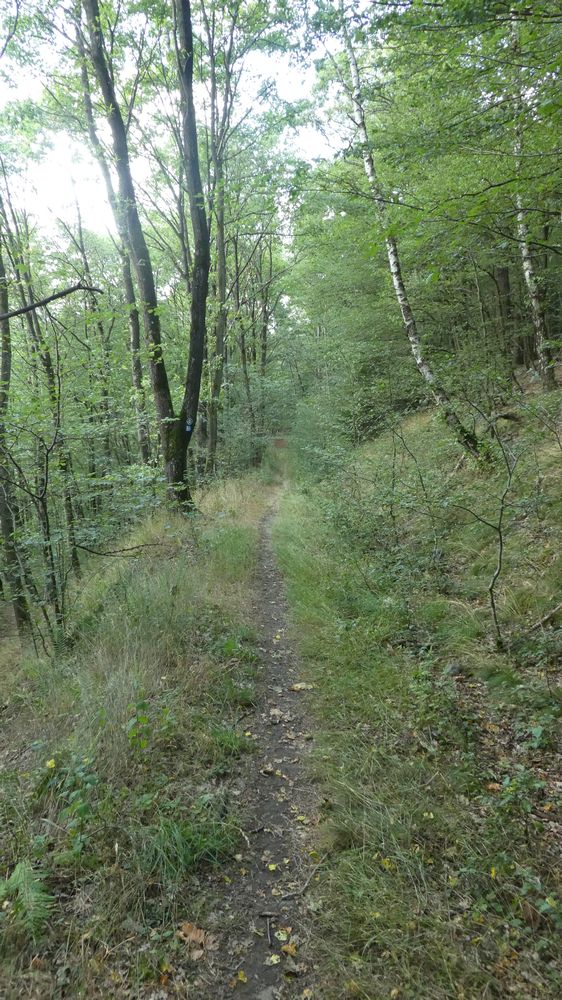 Bigge Lister Rundweg