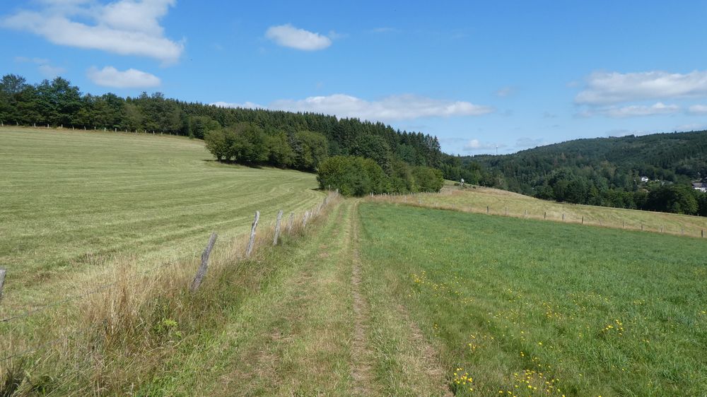 Bigge Lister Rundweg