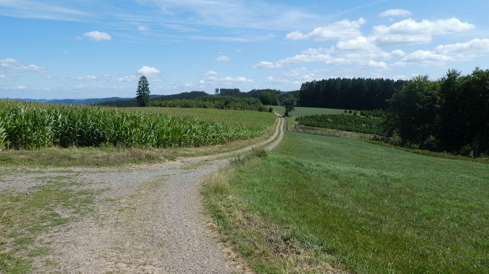 Bigge Lister Rundweg