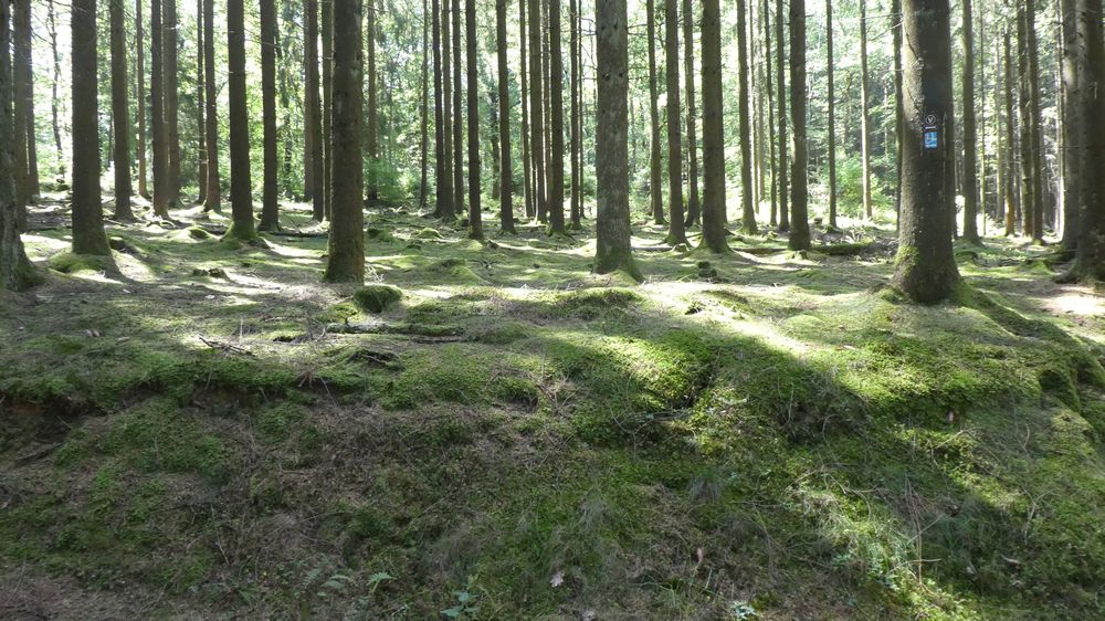 Bigge Lister Rundweg
