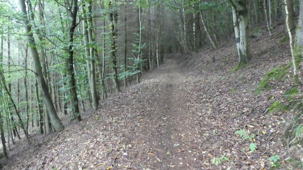 Bigge Lister Rundweg