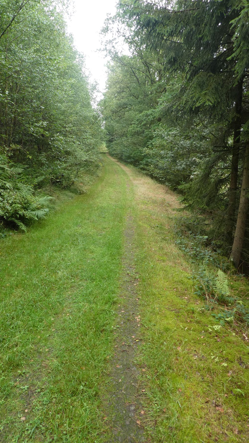 Bigge Lister Rundweg