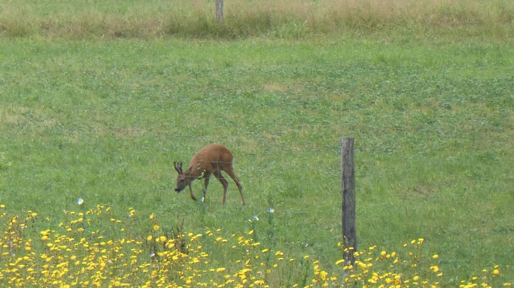 Bigge Lister Rundweg