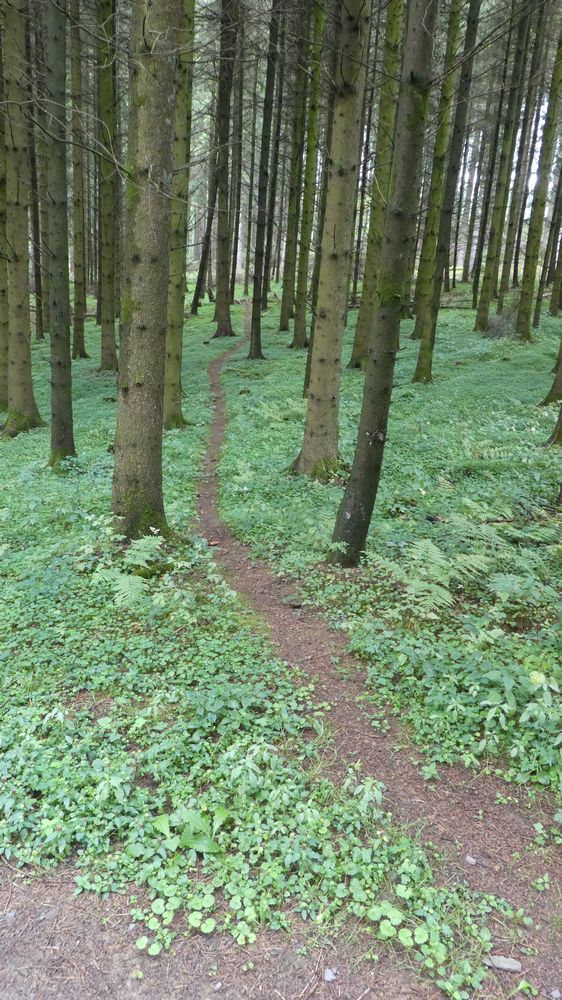 Bigge Lister Rundweg