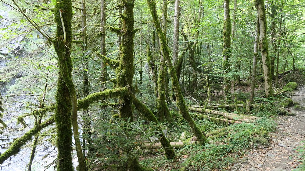 Buerserschlucht