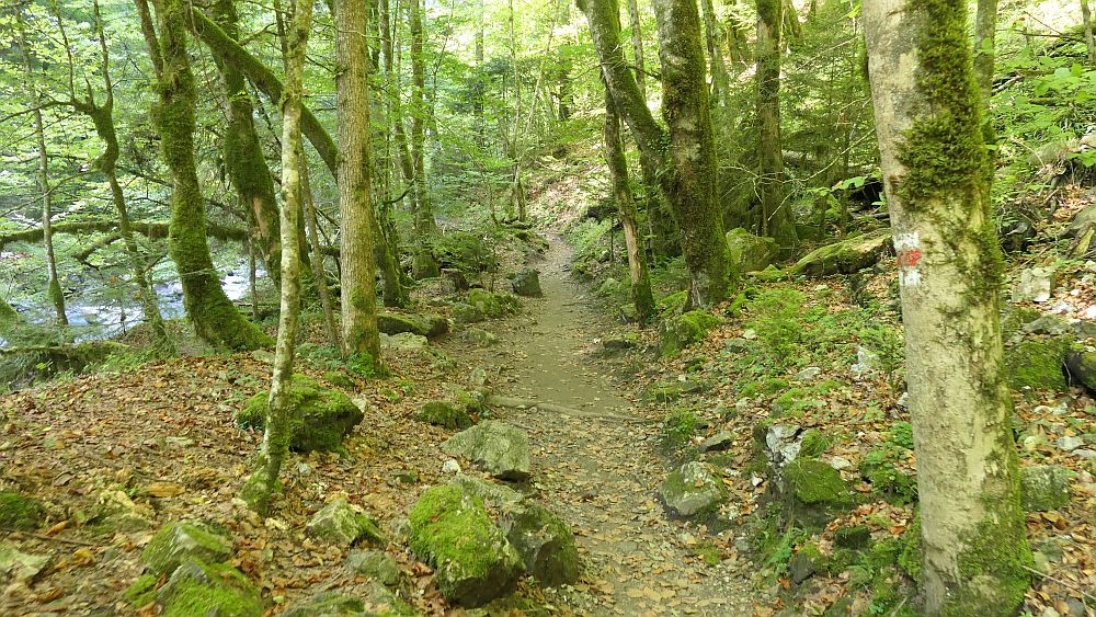 Buerserschlucht