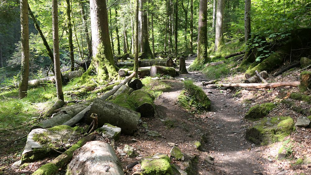 Buerserschlucht
