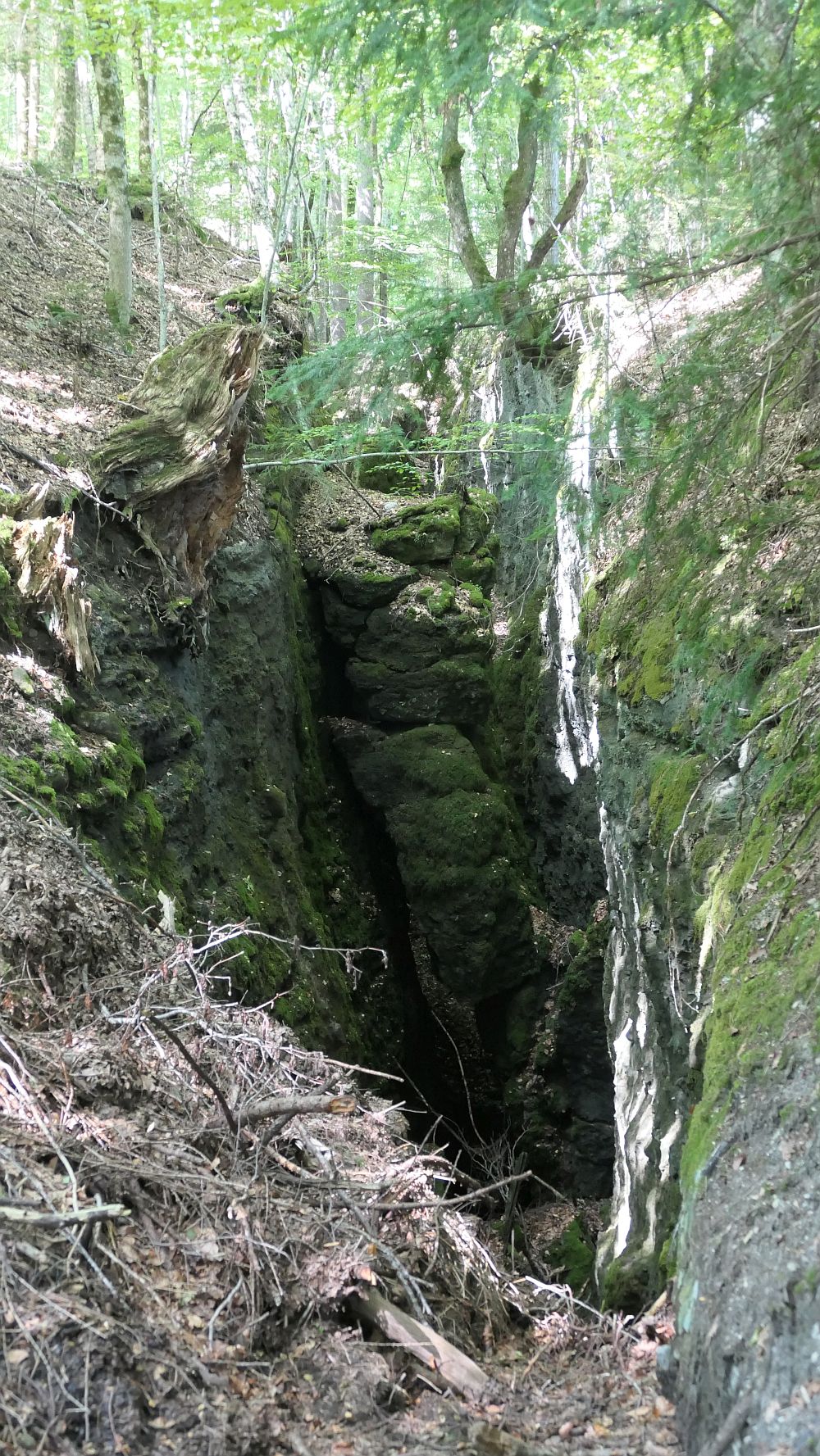 Buerserschlucht