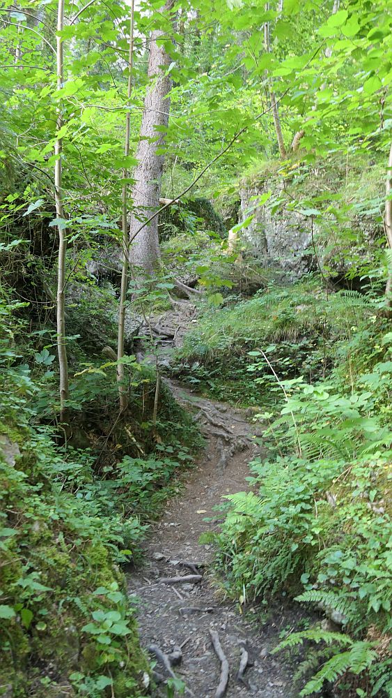 Buerserschlucht