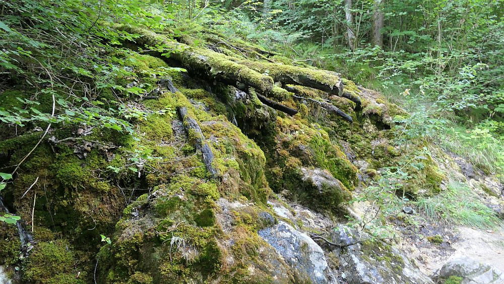 Buerserschlucht