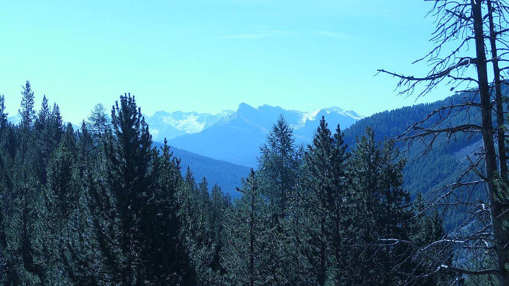 Col de Neal