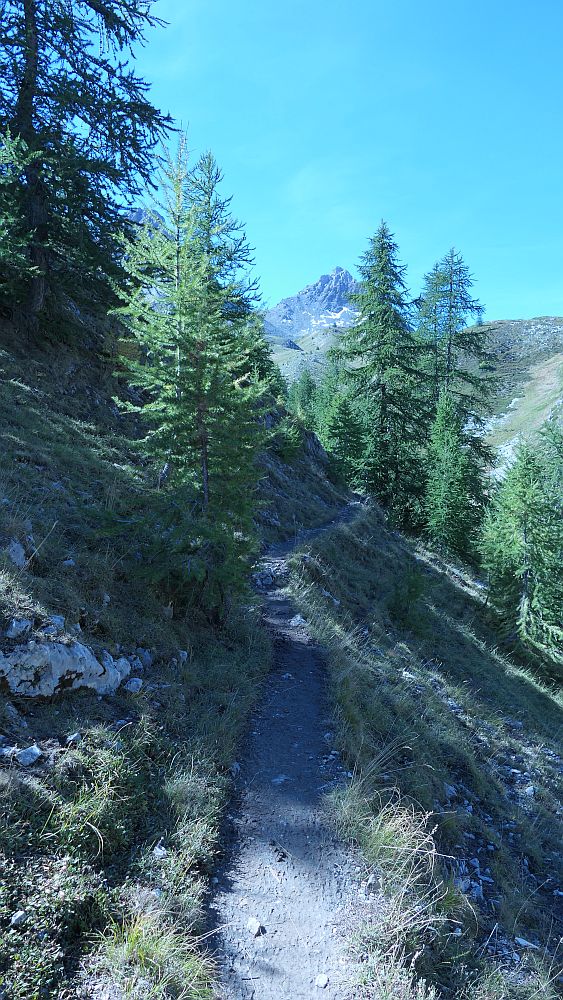 Col de Neal