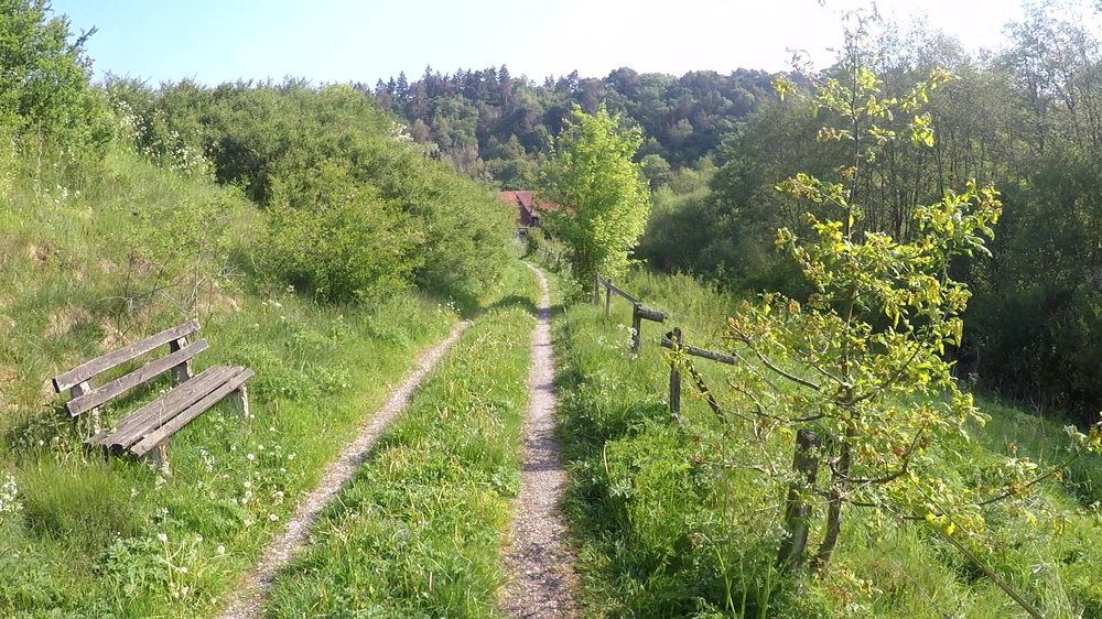 Diemelsteig