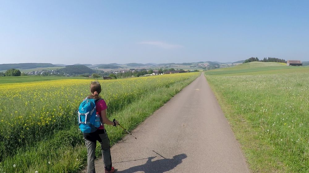 Diemelsteig