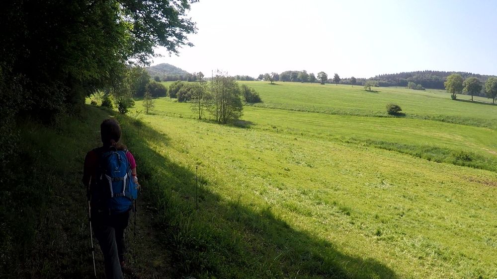 Diemelsteig