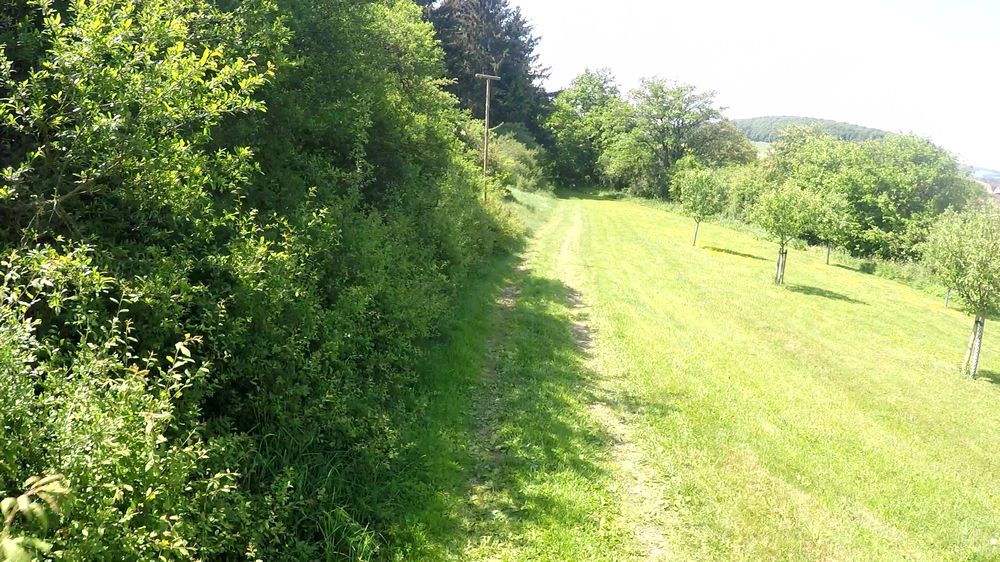 Diemelsteig