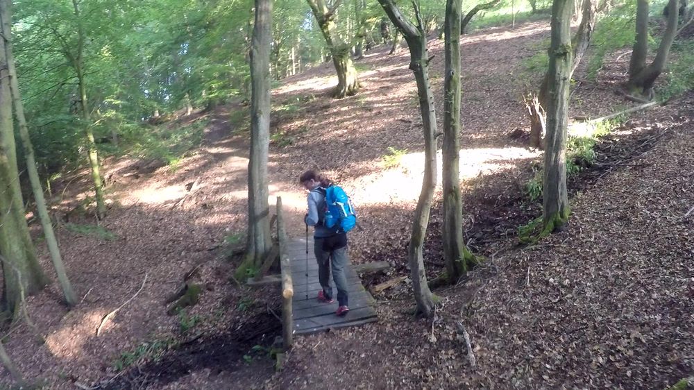 Diemelsteig