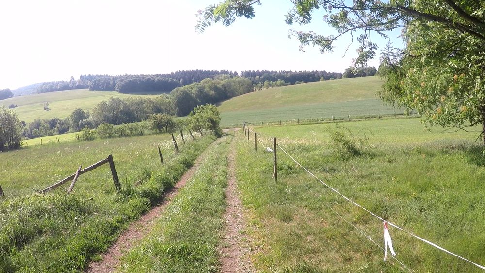 Diemelsteig