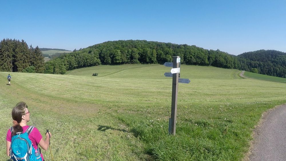 Diemelsteig