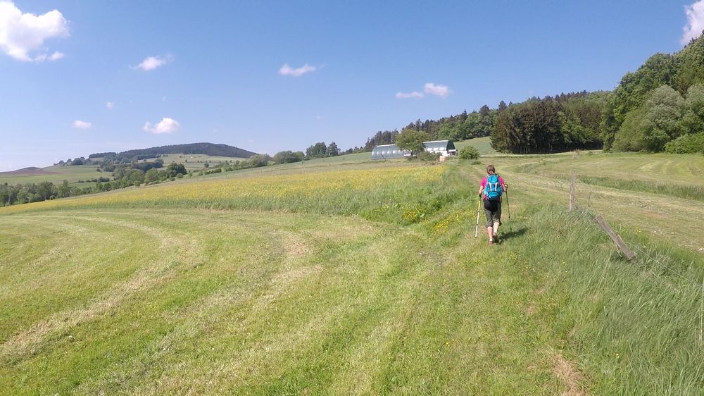 Diemelsteig