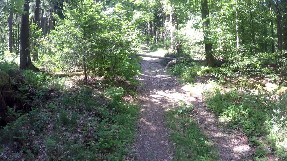 Diemelsteig