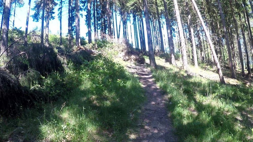 Diemelsteig