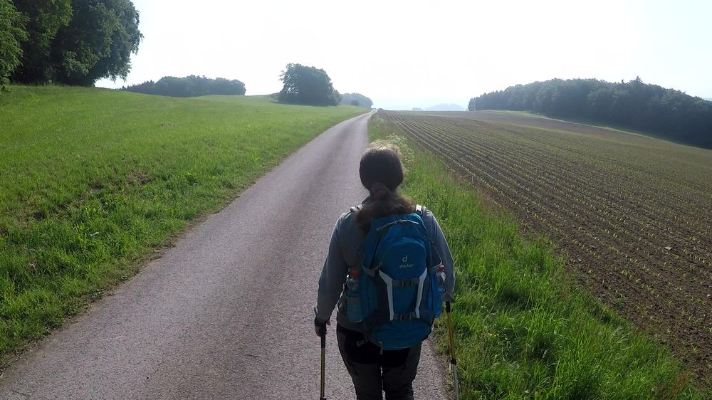 Diemelsteig
