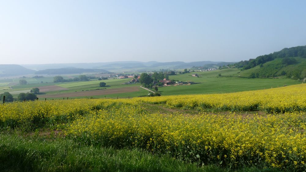 Diemelsteig