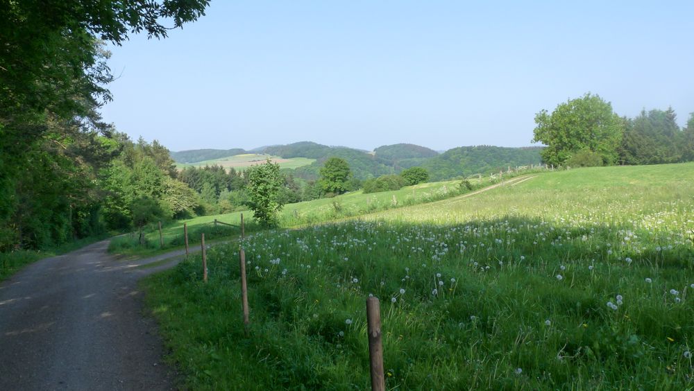 Diemelsteig