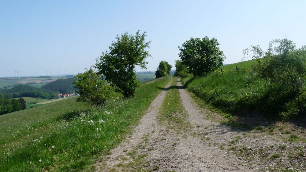 Diemelsteig