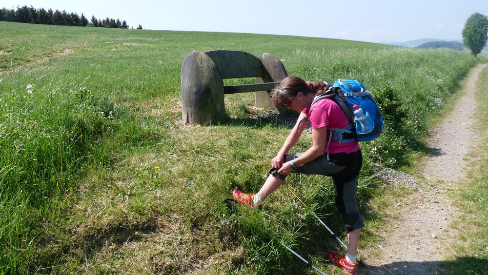 Diemelsteig