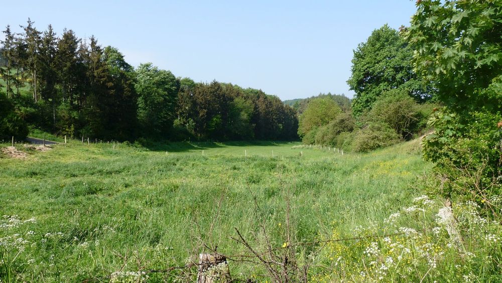 Diemelsteig