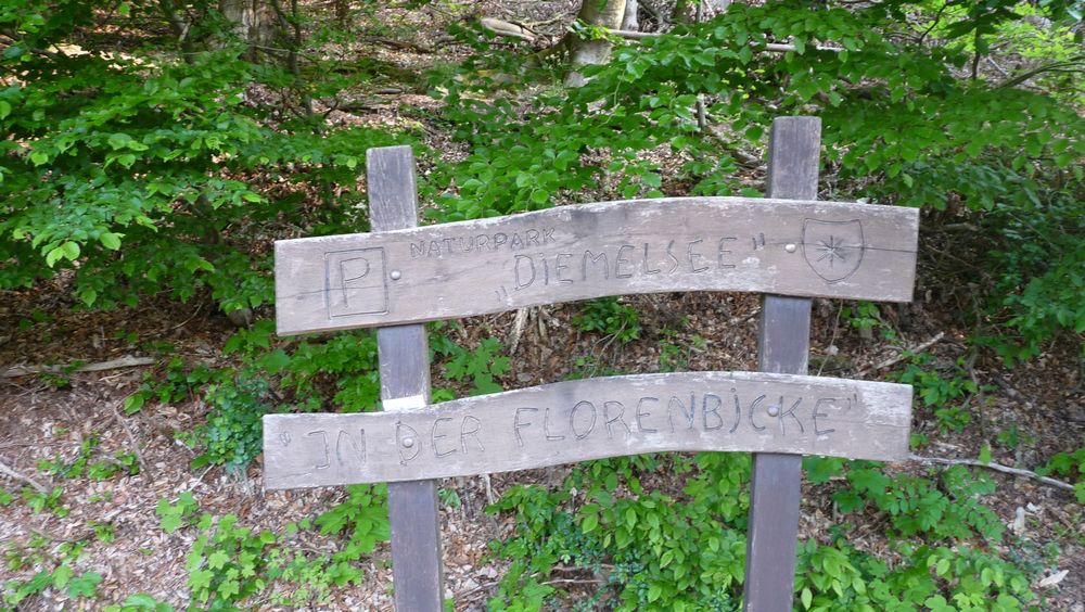 Diemelsteig