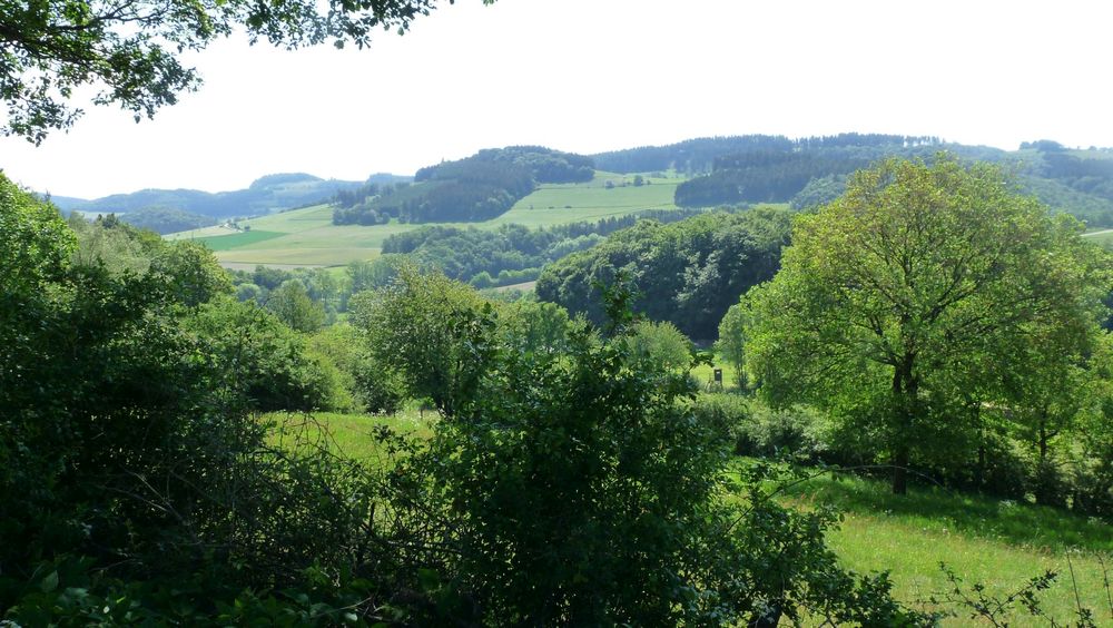 Diemelsteig