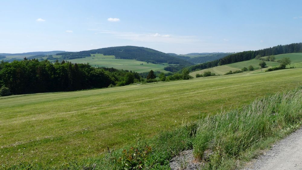 Diemelsteig