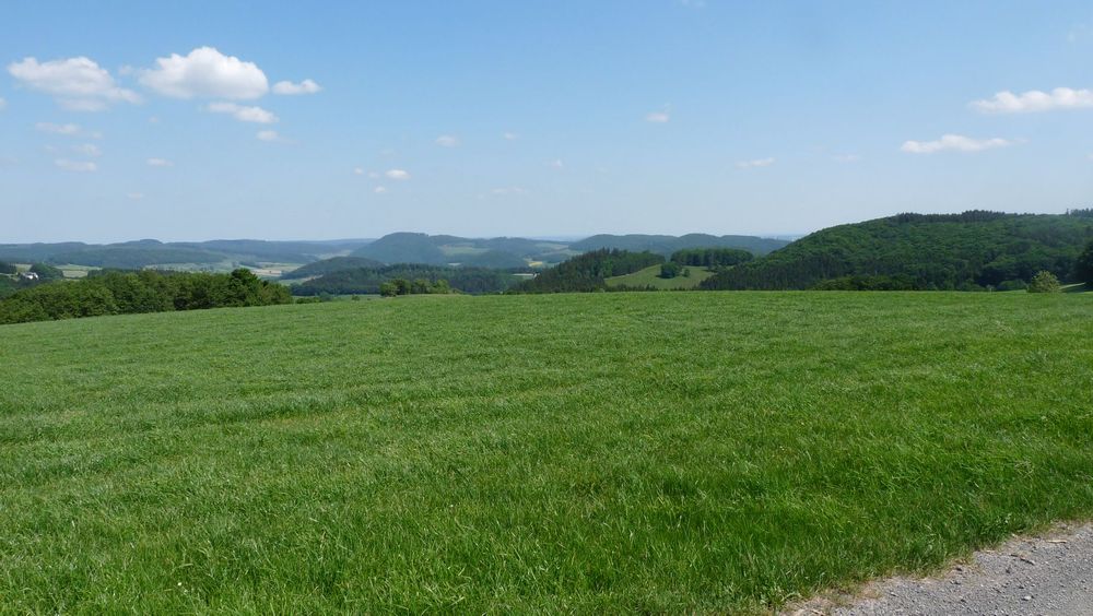 Diemelsteig