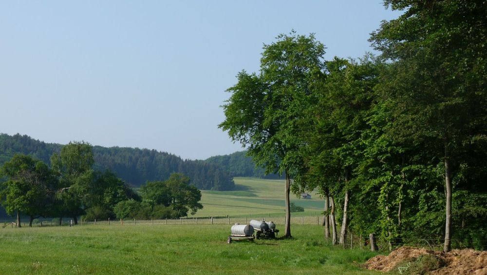 Diemelsteig